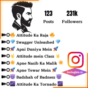 Attitude Instagram Bio