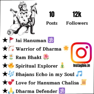 Best Instagram Bio For Hanuman Bhakt