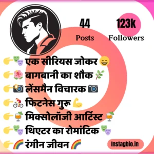Best Instagram Bio In Hindi With Emoji