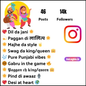 Best Instagram Bio In Punjabi