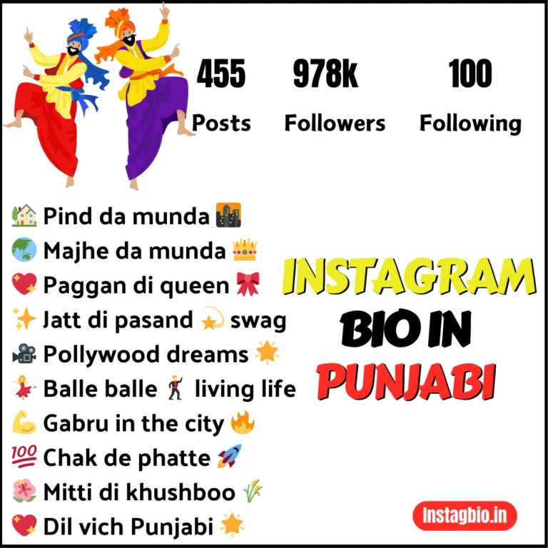 Best Instagram Bio In Punjabi instagbio.in