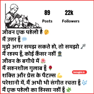 Best Instagram Bio Shayari