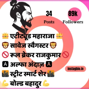 Bio For Instagram For Boy Attitude In Hindi