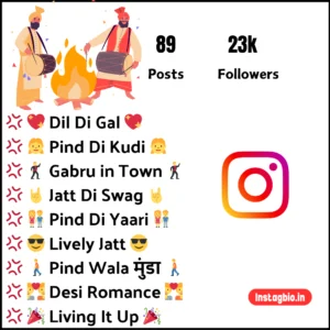 Bio For Instagram In Punjabi