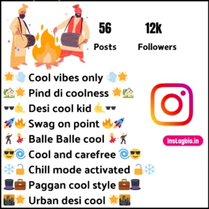 Cool Instagram Bio Punjabi