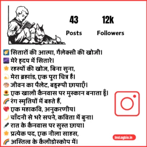 Cool Instagram Bio Shayari 