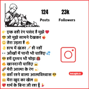 Instagram Bio Attitude Shayari