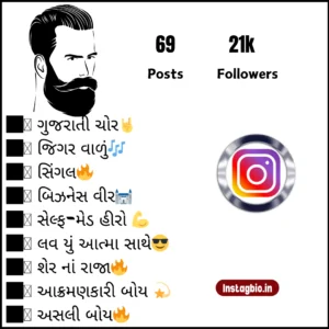 Instagram Bio For Boys In Gujarati