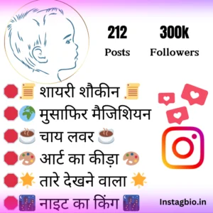 Instagram Bio For Boys In Hindi