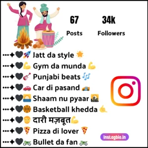 Instagram Bio For Boys In Punjabi