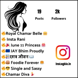 Instagram Bio For Chamar Girls