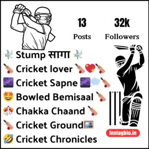 Instagram Bio For Cricket Lovers