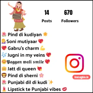 Instagram Bio For Girls In Punjabi