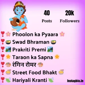 Instagram Bio For Hindu Boy