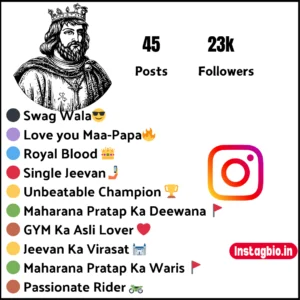 Instagram Bio For Maharana Pratap