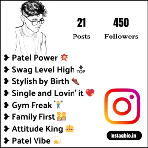 Instagram Bio For Patel Boys