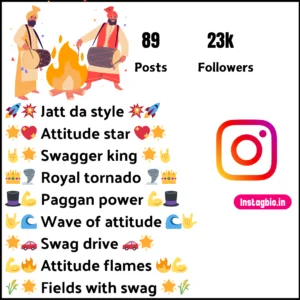 Instagram Bio In Punjabi Attitude