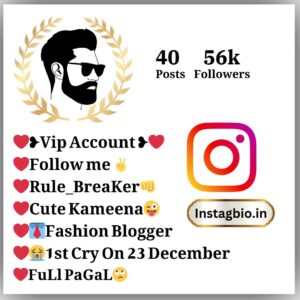instagram VIP Bio