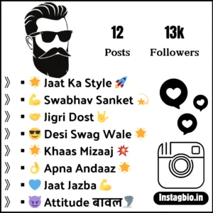 Jaat Attitude Bio For Instagram