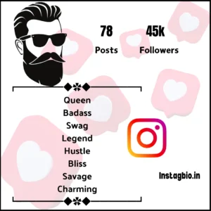 Swag Bio For Instagram One Word