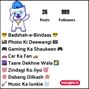 Swag Instagram Bio For Boys