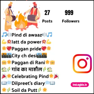 Unique Instagram Bio In Punjabi