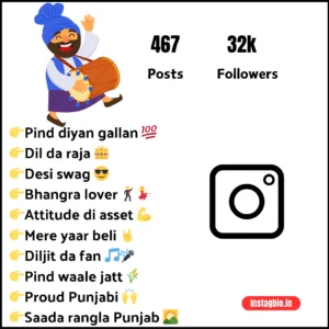 Best Instagram Bio For Boys In Punjabi