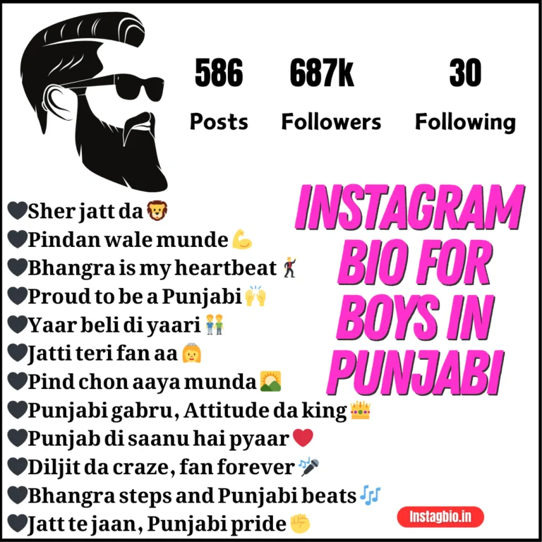 Instagram Bio For Boys In Punjabi Instagbio.in