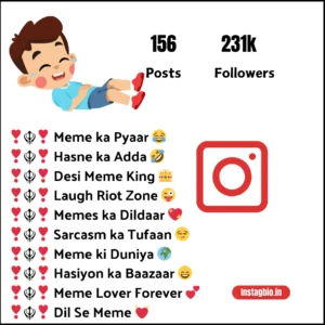 Instagram Bio for Meme Page