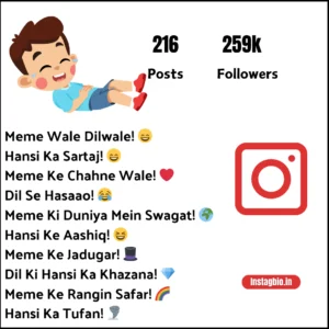 Instagram Memes Bio