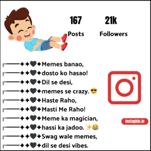 Instagram Memes Bio for Boys